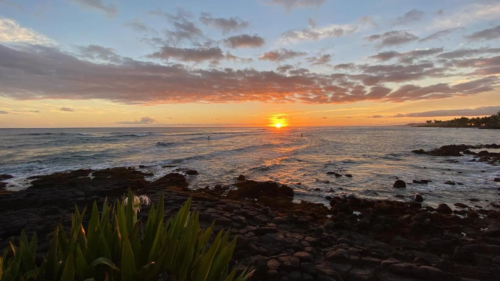 Kuhio Shores 215 Koloa